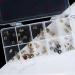OLACD Grids Tip Box 10 Organizer Art Nail Transparent Reusable Number Empty Clear Nail Plastic Display False Number - Buy Online on GoSupps.com