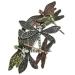Vintage Metal Dragonfly Hair Clip - Punk Wedding Ponytail Barrette | CUhair International Shipping - Buy Online on GoSupps.com