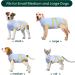Kuoser Dog Recovery Suit for Male Dogs - Breathable Post-Op Body Leakage Protection & Anti-Licking Light Blue XXL (1 Pack) - Buy Online on GoSupps.com