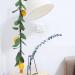 HOMSFOU 3 Pcs Simulation Lemon Rattan Hanging Vine Plant Garland Fruit Garland Mantle Garland Lemon Garland Diy Lemon Berry Vine Simulated Lemon Vine Spring Fake Flower Vine Silk Cloth - Buy Online on GoSupps.com