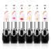 6Pcs Flower Jelly Lipsticks Set - Long Lasting Lip Gloss for Women - Color Change Moisturizing Formula - Buy Online on GoSupps.com