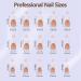 Misssix 240Pcs French Gel Nail Tips - Long Square Brown Press-On Nails No Filing Needed 3-in-1 Pre-Lasting Fake Nails for DIY Nail Art 15 Sizes Available - Buy Online on GoSupps.com