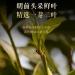 Pu-erh tea 2016 Yibang 357g Raw - Buy Online on GoSupps.com