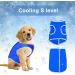 Dog Cooling Vest Harness | Swamp Cooler Evaporative Coat for Hot Weather | Ice Silk Breathable Shirt for Dogs | Pet Anxiety Relief | Size Small - Buy Online on GoSupps.com