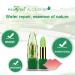 Sayla Lipstick Set - Temperature Changing Jelly Lip Balm & Gloss for Women | Contour & Hydrate with Aloe Gel - Buy Online on GoSupps.com