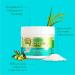 Olive Oil Max Moisture Curl Crème - Nourishing Rice Water & Electrolytes for Hydrated Curls (8 oz) - International Shipping Available - Buy Online on GoSupps.com