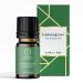 AAKRITI Premium Essential Oil (GMP Certified) 100% Natural & Pure 10 ml/ 0.34 Fluid Ounce Each Perfect for Spa Aromatherapy Diffusion Oil Burne (Lemongrass)
