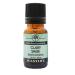 Plantlife Clary Sage Aromatherapy Essential Oil - Straight from The Plant 100% Pure Therapeutic Grade - No Additives or Fillers - 10 ml