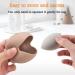 Silicone Beauty Blender Holder & Travel Case - Makeup Sponge Drying Stand for Women - Buy Online on GoSupps.com