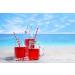 Biodegradable Red Striped Paper Straws Disposable Red and White Paper Drinking Straws for Circus Party Decor Farm Birthday Non-Toxic 6*197mm - Buy Online on GoSupps.com