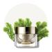 IOPE Super Vital Eye Cream 25ml | Hydrating and Anti-Aging Eye Treatment - Buy Online on GoSupps.com
