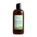 Just Nutritive Dandruff Clear Scalp Shampoo | Anti Dandruff Treatment | Natural Shampoo for Men and Women | Gentle Cleansing Shampoo for Dry Irritated Scalps 16 Fl Oz