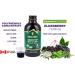 Organic Elderberry Syrup for Adults and Kids. To relieve Colds & Flu faster. Delicious taste. No sugar added. Made Canada. (1-pack) 1 count (Pack of 1) - Buy Online on GoSupps.com