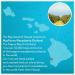 MacFarms Dry Roasted Macadamia Nuts - 24oz Premium Sea Salt Snack from Hawaii - Buy Online on GoSupps.com