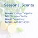 Almara Beauty | Hydrating Body Lotion | Fresh Scent Non Greasy - Buy Online on GoSupps.com
