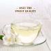 Buy Twinings Fujian Pure White Tea - Box of 20 Tea Bags | Premium Chinese Tea - Buy Online on GoSupps.com