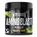 Warrior Amino Blast Pineapple Crush - 270g 30 Servings (Pack of 1)