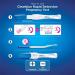 Clearblue Pregnancy Test Rapid Detection Result As Fast As 1 Minute 1 Test Easy at Home Pregnancy Test (Pack of 2) - Buy Online on GoSupps.com