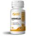Naturally Natural Boswellia Serrata 90 Vegan Capsules 65% Boswellic Acid Strong Joint Care Pure Formulation Supplement