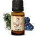 Fine Jaw Oil 10ml - 100% Natural Pure Essential Stone Pine Oil (Pinus Harp) for Global Shipping - Buy Online on GoSupps.com