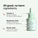 Gabit 8% Vitamin C Face Serum Brightening & Hydrating Serum for Dull Uneven Skin Tone with Alpha Arbutin Hyaluronic Acid & Ferulic Acid Oil & PEG Free 30 ml - Buy Online on GoSupps.com