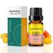 AROPERIMA Candy Corn Fragrance Oil Premium Grade Scented Oil for Aroma Diffusers Perfume Candle and Soap Making - 10ml