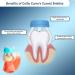 Collis-Curve Youth Baby Sampler Pack - Soft Bristled 3-sided Toothbrush for Sensitive Gums - Oral Care Manual Toothbrushes (Adult Sampler Pack) - Buy Online on GoSupps.com