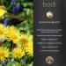 Bodi Arnica Flower Whole Cut Dried - 100% Pure Natural Hand Crafted | 4 oz - Buy Online on GoSupps.com