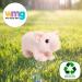 Deluxe Paws Plush Eco Toy 100% Recycled Material - Pig Design - Buy Online on GoSupps.com