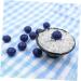 Alipis 150 Pcs Simulation Blueberry Realistic Berry Fake Blueberries Decor Blueberries Photo Prop Fake Blueberry Lifelike Fruits Model Miniature Blueberry Scrapbook Fake Fruit Resin - Buy Online on GoSupps.com
