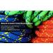 Green 8mm Nylon Prusik Cord  100FT - Marine Double Braid Accessory Rope - Buy Online on GoSupps.com