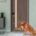 Valuehall Dog Training Bell - 2 Piece Adjustable Pet Training Doorbell for Easy Potty Training - Buy Online on GoSupps.com