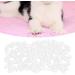 Zerodis 100 Cat Nail Cover Protectors - Soft Anti-Scratch Caps for Dogs & Cats | Safe Claw Covers (S White) - Buy Online on GoSupps.com