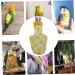 Parrot Diaper Birds Flight Suit Cute Banana Physiological Pants Small Pet Birds Flight Suit Clothes for Pigeons Cockatiel - Buy Online on GoSupps.com