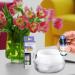 Buy SpaRoom 100% Pure Essential Oils - Dream Sleep Blend for Diffusers & Air Fresheners (10 mL - Buy Online on GoSupps.com