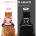 Breakproof Cat Dish Set with Adjustable Reflective Vest for Small Kittens - Pink XXS - Buy Online on GoSupps.com