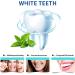 4x BPA-Free Tooth Rail Crunching - Amherand Comfortable Bite Rail for TMJ Bruxism & Teeth Protection (2 Sizes) | International Shipping - Buy Online on GoSupps.com