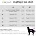 Hisprout Skirt Diaper for Female Dogs - Reusable & Washable Puppy Diapers (M Ocean Series) | Durable & Comfortable Pet Care - Buy Online on GoSupps.com