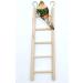 Wooden Bird Parrot Cage Climbing Ladder Toy - 2pcs (5 Step & 7 Step) - Buy Online on GoSupps.com