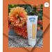 Honey Hand Cream 100 ml - Buy Online on GoSupps.com
