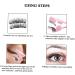 AUTSUPPL Magnetic False Eyelash Curler Fake Eyelash Clip Fake Eyelash Clamp Stainless Steel Eyelash Curler Metal Lashes Clip Magnetic Eyelash Clip Eyelash Curlers Women Eyelash Curler 11.5x6.2x1.6cm - Buy Online on GoSupps.com
