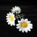 20 Pieces Daisy Hair Clips | Wedding Flower Hair Accessories | Bridal & Girl Hair Accessories (White) - Buy Online on GoSupps.com