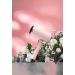 Hair Dryer with Diffusion Brush Comb Accessory 1800W Powerful Output for Women's Thick Hair Pink - Buy Online on GoSupps.com