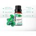 SenseLAB Spearmint Essential Oil - 100% Pure Therapeutic Grade - 30ml for Diffuser, Humidifier, Outdoor Protection, Oral Care - Buy Online on GoSupps.com
