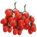 TOPPERFUN 2pcs Simulated Fruit Skewers Foam Fake Fruit Props Ornament Home Decor Models Lychee Fruit Home Supplies Fruit Photography Props Party Decor Tomato Longan Red Plastic