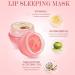Lip Moisturizer Balm Lip Balm Set Lip Balm 6 packs Long Lasting Lip Moisturizer Multipack Lip Moisturizer Intensive Lip Repair Sleeping Lip Balm Reduce Lip Lines And - Buy Online on GoSupps.com
