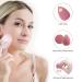 5-Piece Makeup Sponges Blender Set with Holder - Professional Beauty Sponge Kit for Flawless Blending of Cream, Powder, and Liquid Makeup - Pink - Buy Online on GoSupps.com