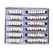 168 Pcs Dental Synthetic Resin Teeth Denture Set for Halloween - Horror False Teeth 23 A2 - Buy Online on GoSupps.com