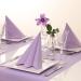SOVIE HORECA Purple Airlaid Napkins 40x40 cm | High-Quality Disposable Absorbent Fabric-Like | Ideal for Weddings & Parties | 50 Count - Buy Online on GoSupps.com