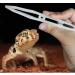NA 3 Pcs Reptiles Feeding Tweezers Plastic Noctilucence Tweezers Reptile Feeding Tongs Reptile Feeding Tool for Iguanas Bearded Dragons Lizards Geckos Turtles Corals 18CM - Buy Online on GoSupps.com